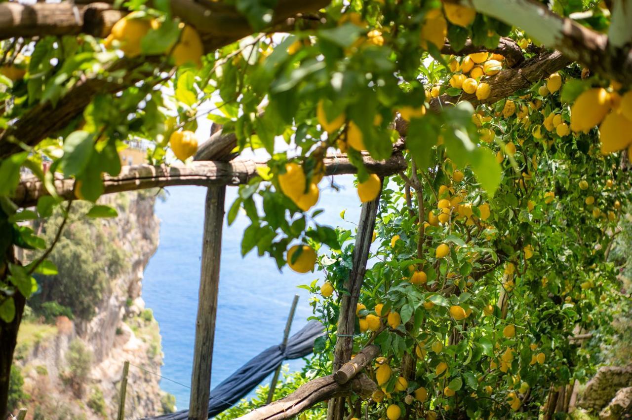 Hotel La Pergola 3*